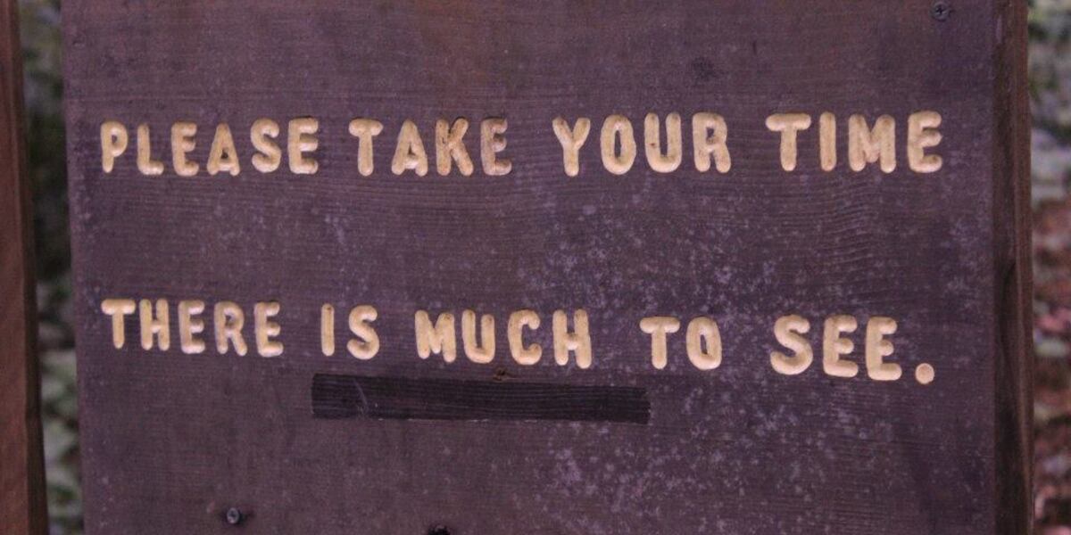 Please Take Your Time HITRECORD Image