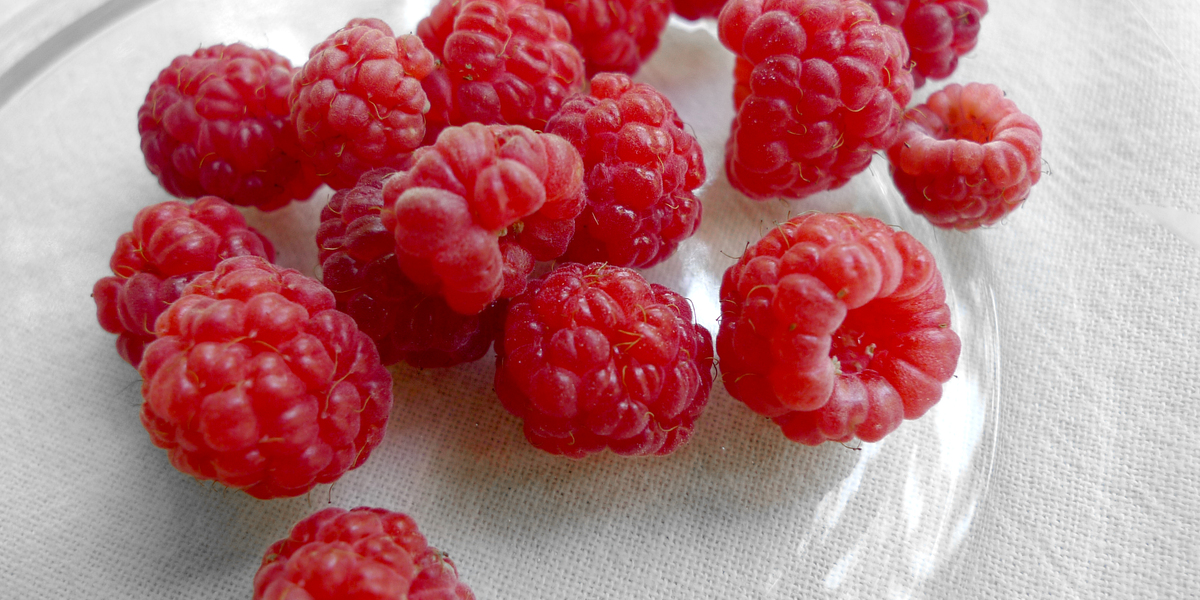 raspberry days HITRECORD Image