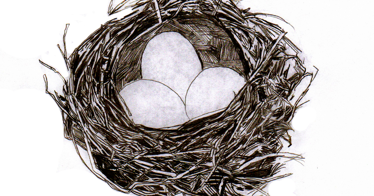 Гнездо для птиц для детей. Ширли Джексон "Птичье гнездо". Гнездо 202913. Гнездо птицы для детей. Гнездо для птиц..