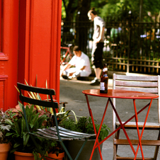 Aphrodite In Carroll Gardens